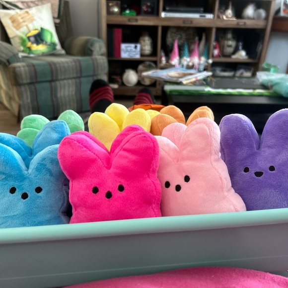 Personalized peeps names can be put on and decorations - Picture 1 of 7